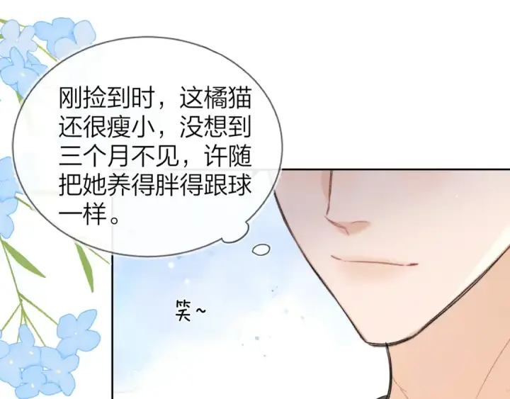 《告白》第四十八话 你们俩的猫图30
