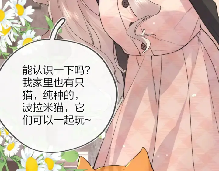 《告白》第四十八话 你们俩的猫图37