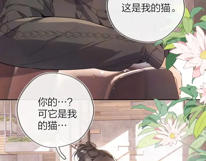 《告白》第四十八话 你们俩的猫图6