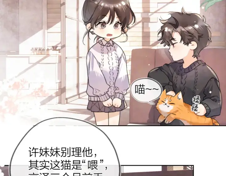 《告白》第四十八话 你们俩的猫图7