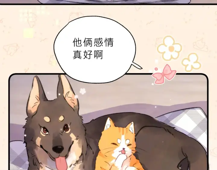 《告白》请假条（内含番外）图14
