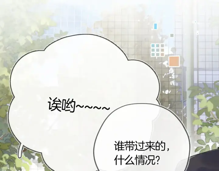 漫画《告白》第七十九话 报告教官，我女朋友！第5张图