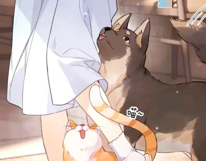 《告白》第九十六话 生日快乐，周京泽图18