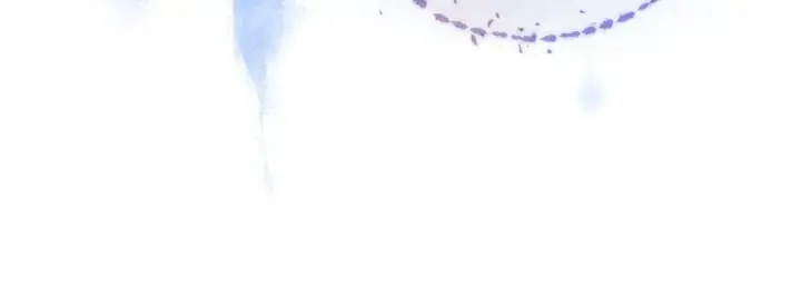 漫画《告白》第一百话 告别第93张图