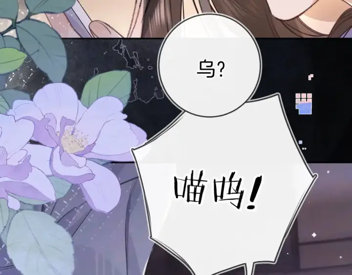 《告白》第一百零七话 视频吗？看猫图67