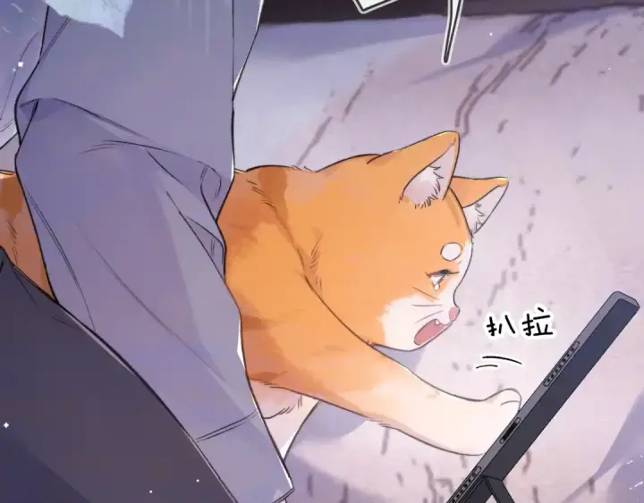 《告白》第一百零七话 视频吗？看猫图68
