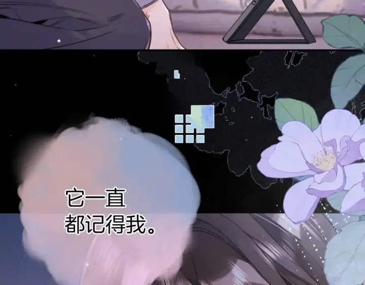 《告白》第一百零七话 视频吗？看猫图69