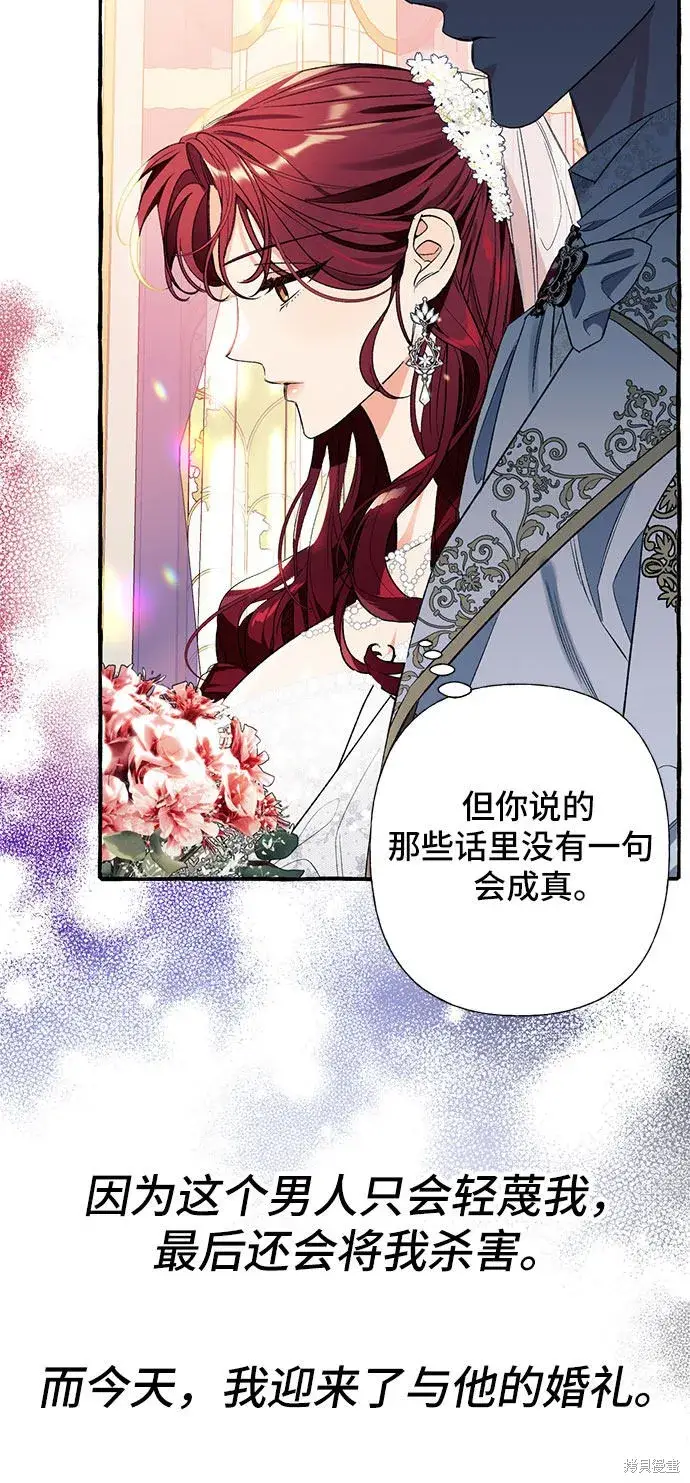 漫画《根本不是普通的穿书》第1话第11张图