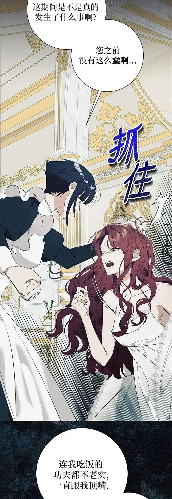 《根本不是普通的穿书》第26话图19