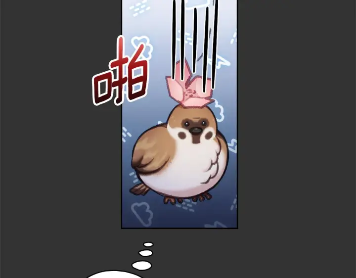 《公爵大人的玩具熊》第36话 我喜欢你图13