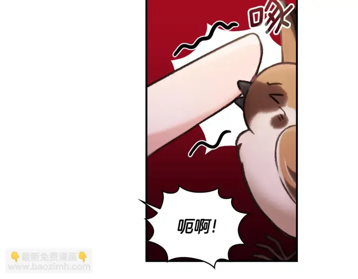 《公爵大人的玩具熊》第38话 确实有点开心图114