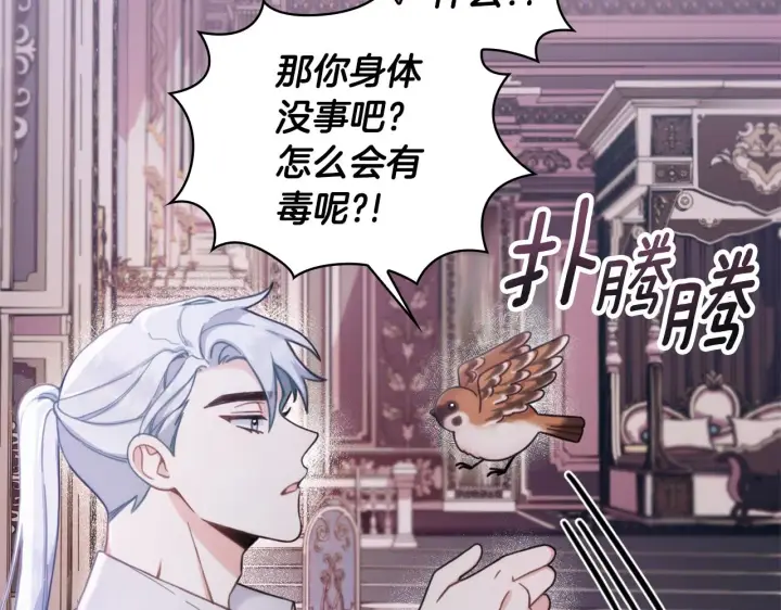 《公爵大人的玩具熊》第1季完结话 想进神殿图74