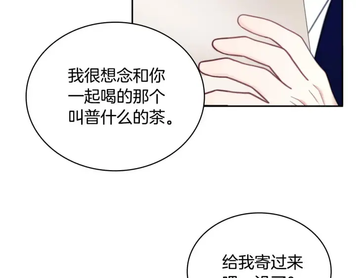 《公爵大人的玩具熊》第63话 秘密信函图170