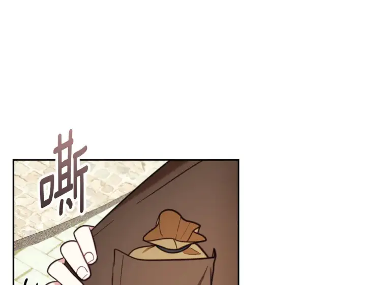 《公爵大人的玩具熊》第67话 换装逃走图106
