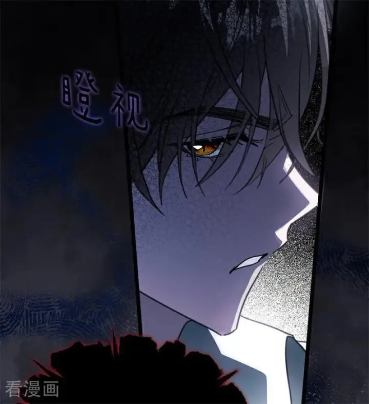 漫画《公爵家的毒之花》第34话 别离开我第26张图