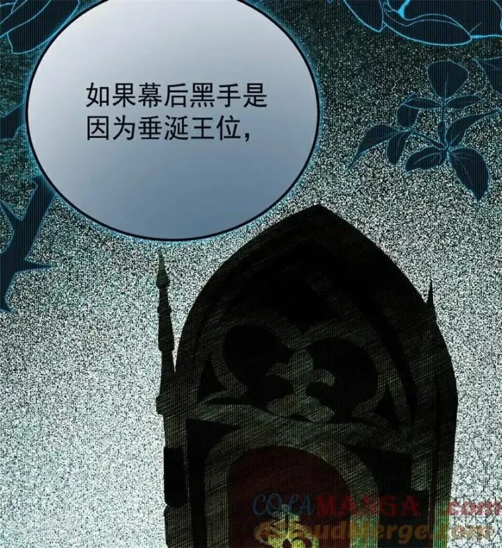 漫画《公爵家的毒之花》第36话 家族秘密第17张图