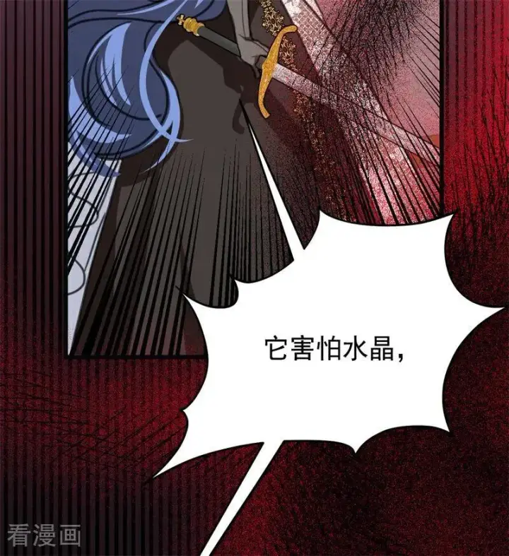 漫画《公爵家的毒之花》第44话 诅咒之影第38张图