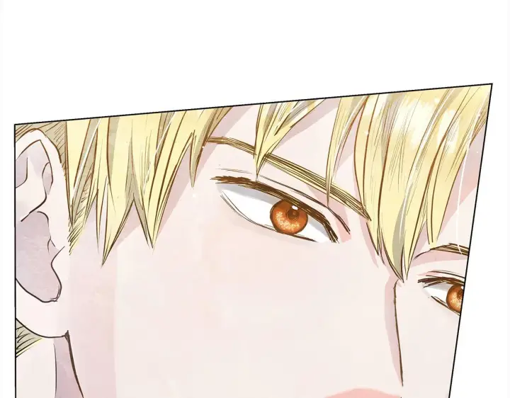 漫画《公女今日起罢工》第6话 你为什么要戴面具？第66张图