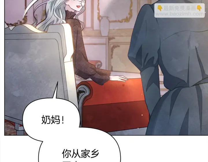 漫画《公女今日起罢工》第14话 奶妈的家人全死了？第73张图