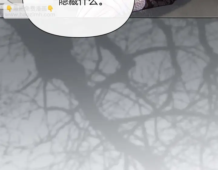 漫画《公女今日起罢工》第57话 危险的男人第66张图