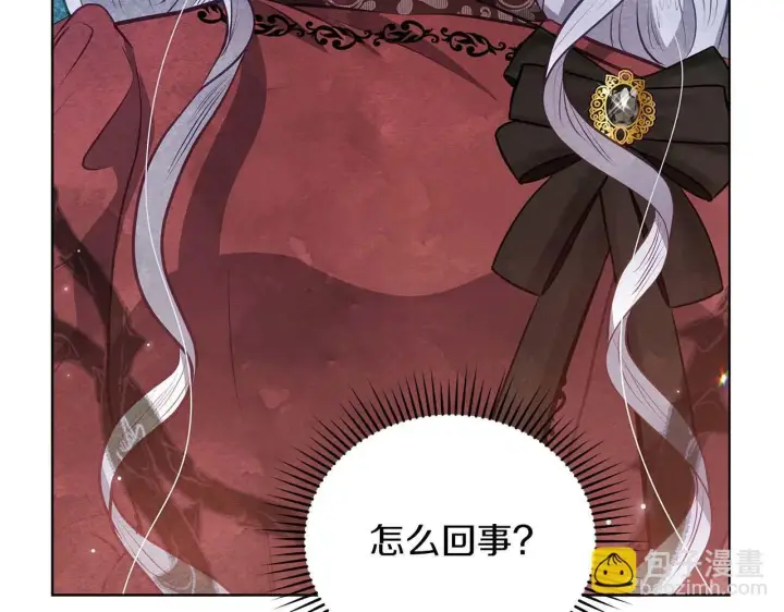漫画《公女今日起罢工》第58话 雪山上的神秘人影第3张图