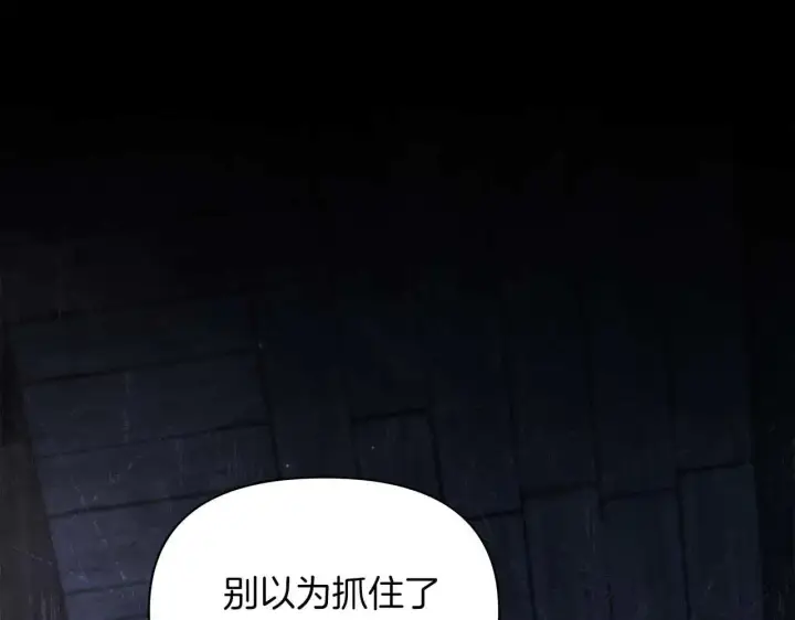 《公女今日起罢工》第62话 被掳走的公女图219