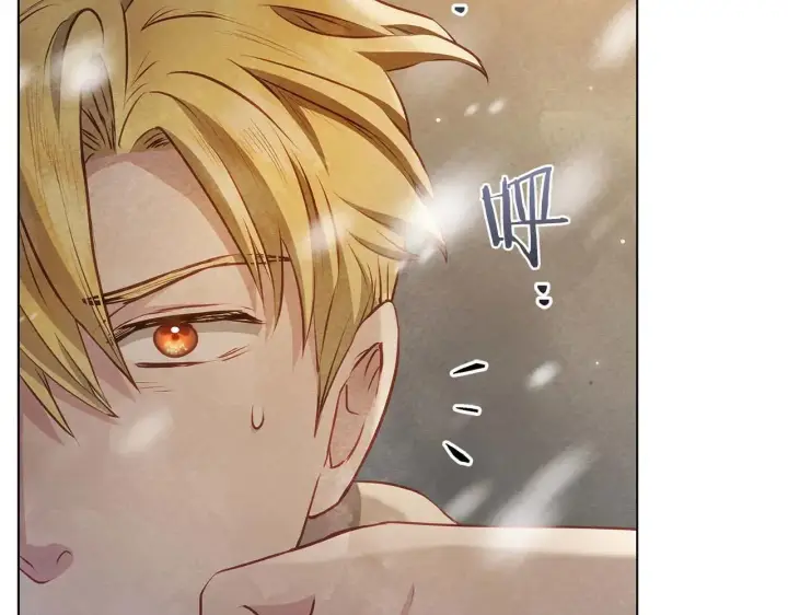 漫画《公女今日起罢工》第64话 真相与真实的记忆第13张图