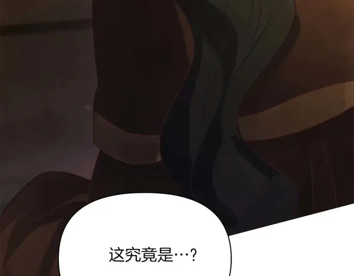 漫画《公女今日起罢工》第64话 真相与真实的记忆第28张图