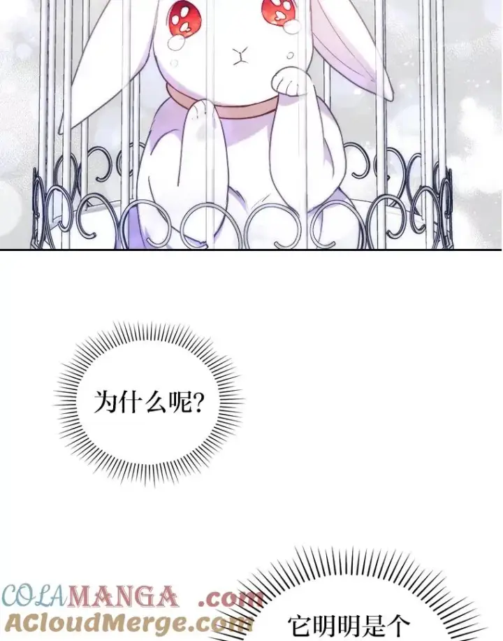 漫画《勾引了病弱男主》19.重伤的卡西斯第13张图