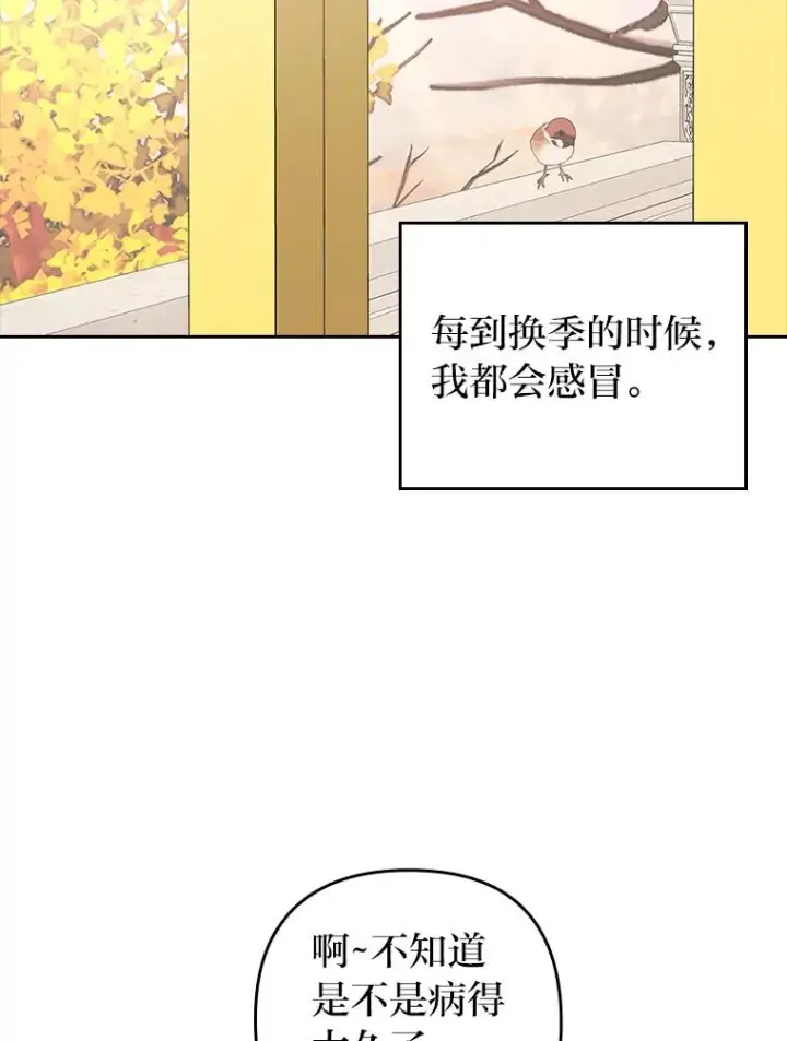 《勾引了病弱男主》28.公爵夫人的谢礼图11