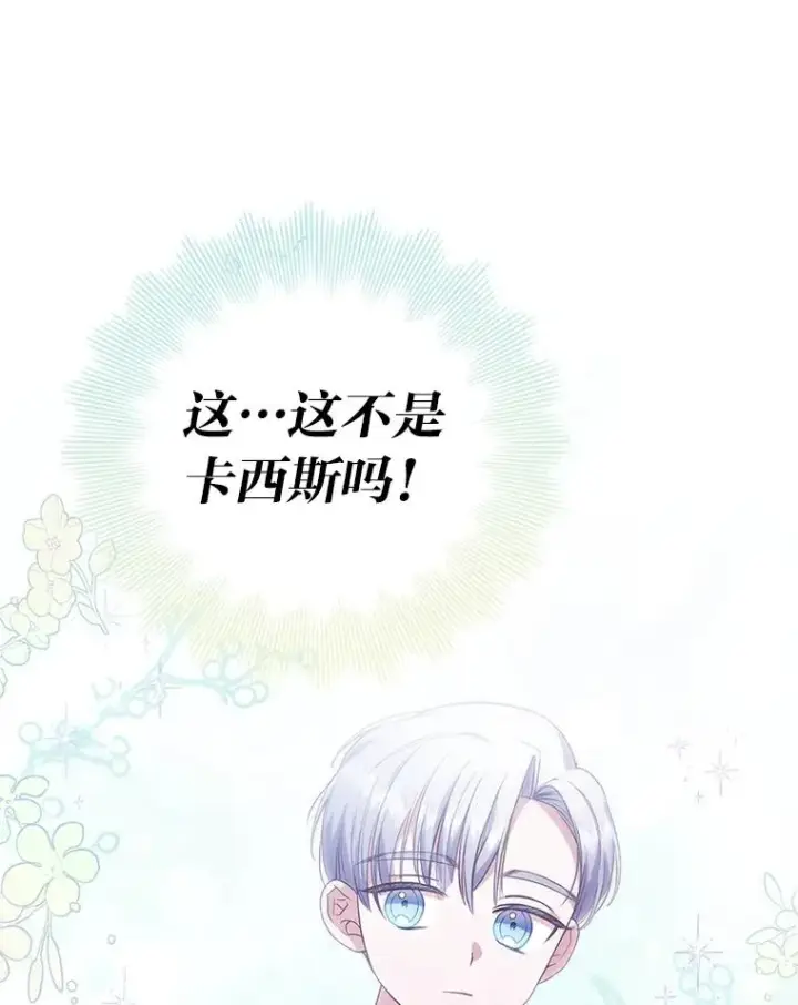 《勾引了病弱男主》28.公爵夫人的谢礼图15