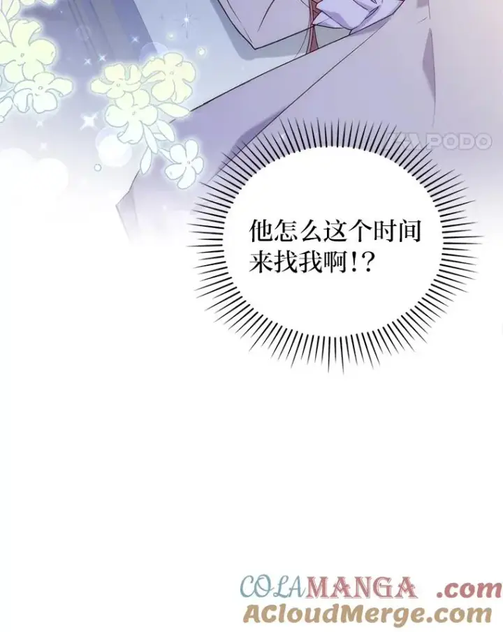 《勾引了病弱男主》28.公爵夫人的谢礼图17