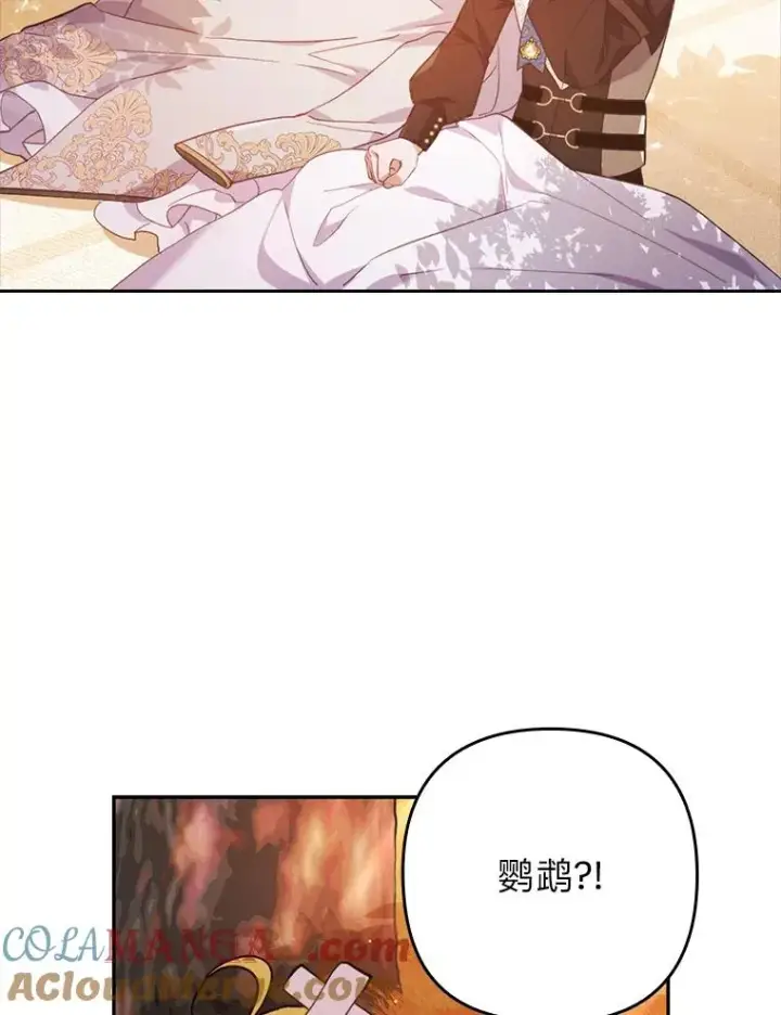 《勾引了病弱男主》31.秋游图113