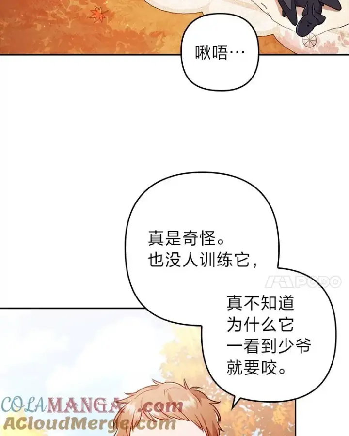 《勾引了病弱男主》31.秋游图61
