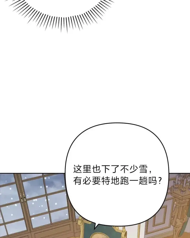 《勾引了病弱男主》42.雪花庆典图39