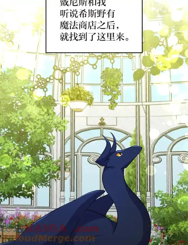 《勾引了病弱男主》43.魔法商店图65