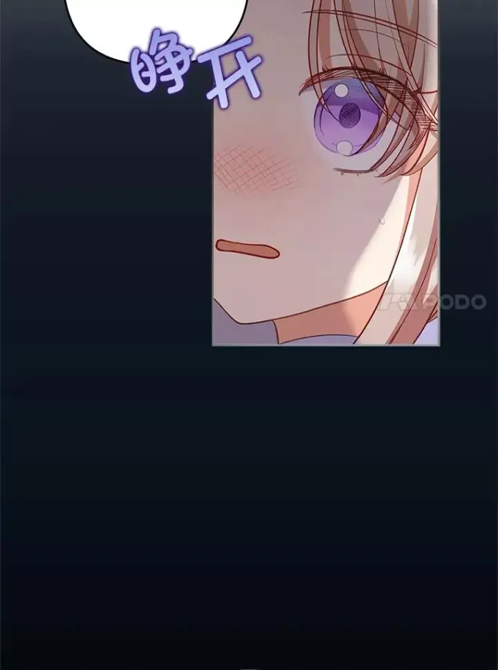 《勾引了病弱男主》47.错过图47