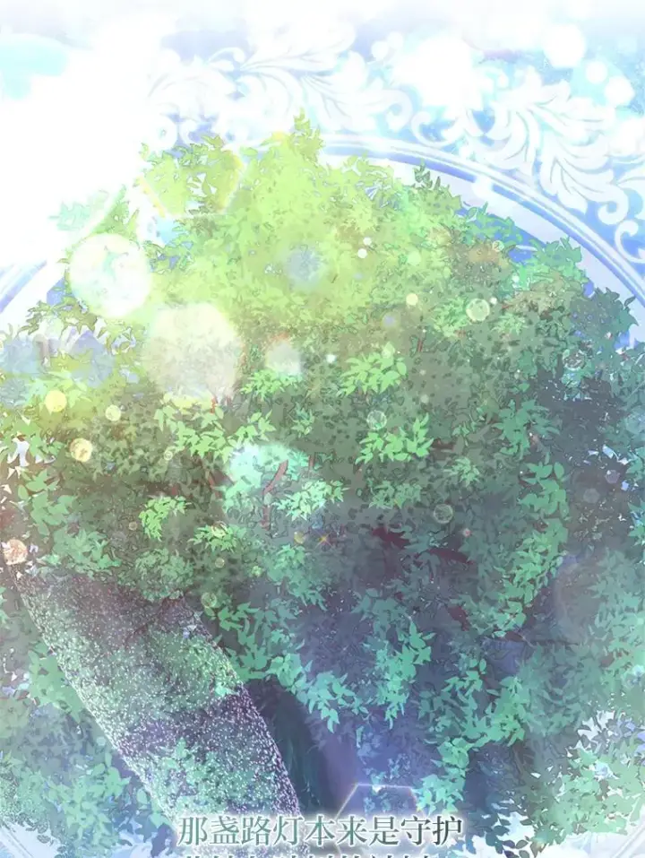 《勾引了病弱男主》48.神树图52
