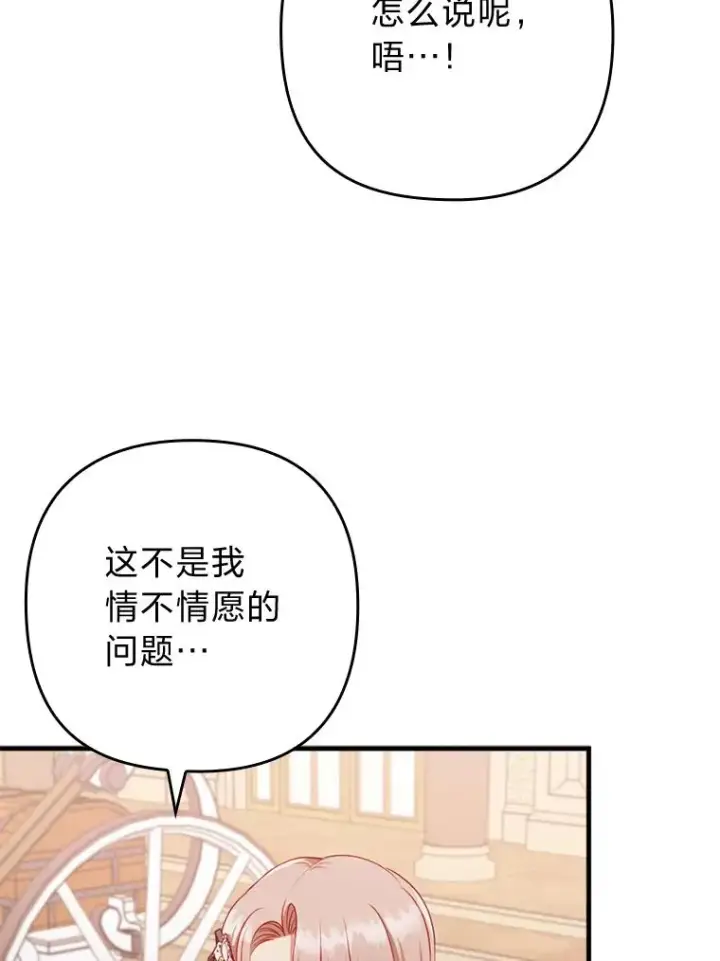 《勾引了病弱男主》78.玫瑰园图115