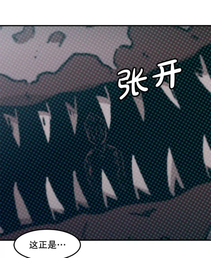 漫画《孤雄升级》138.分组作战第24张图