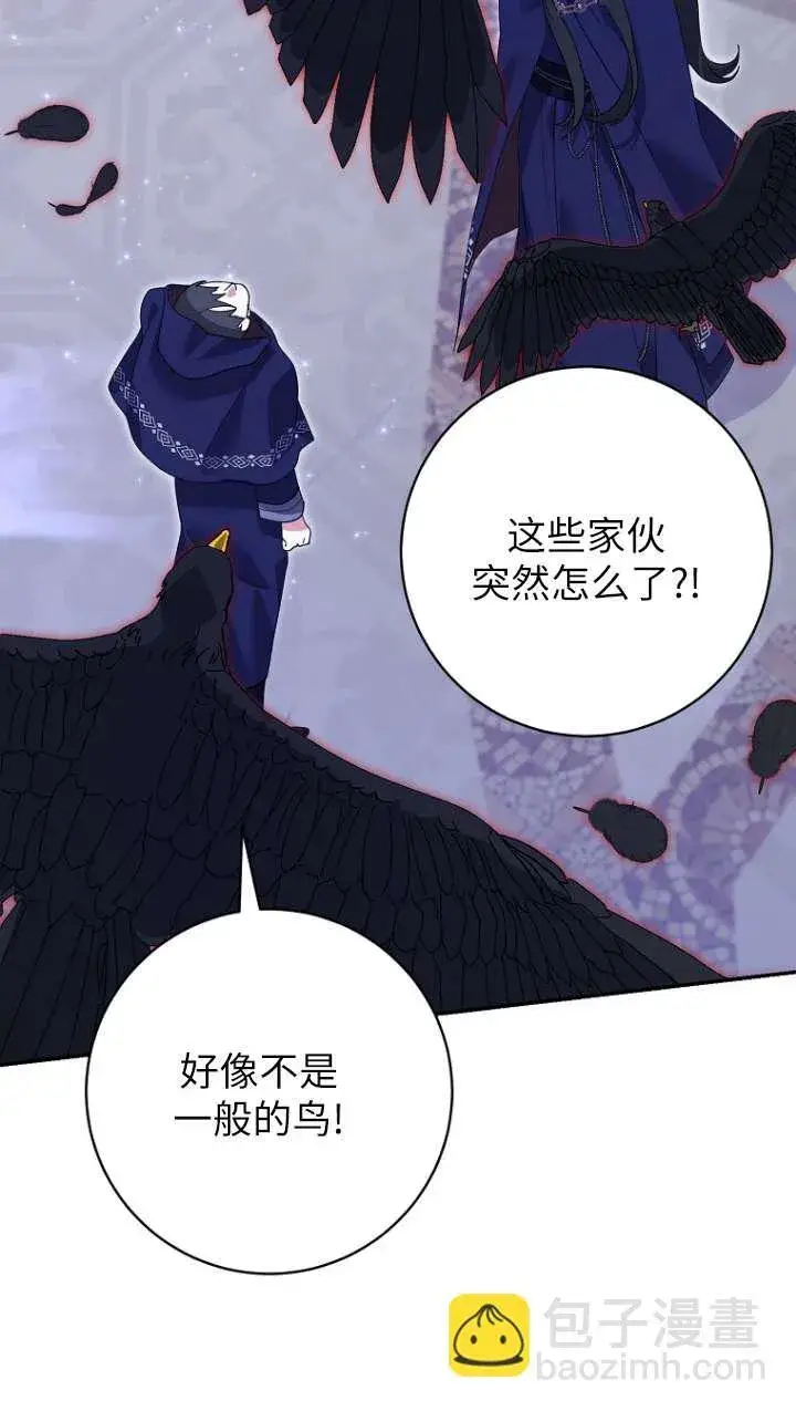 漫画《黑幕未婚夫阻碍我的花路》第31话第66张图