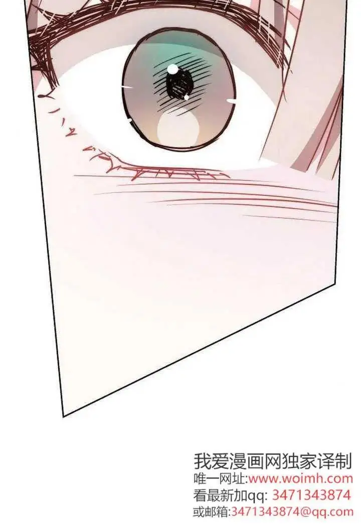 《黑曜石的新娘》第100话图159
