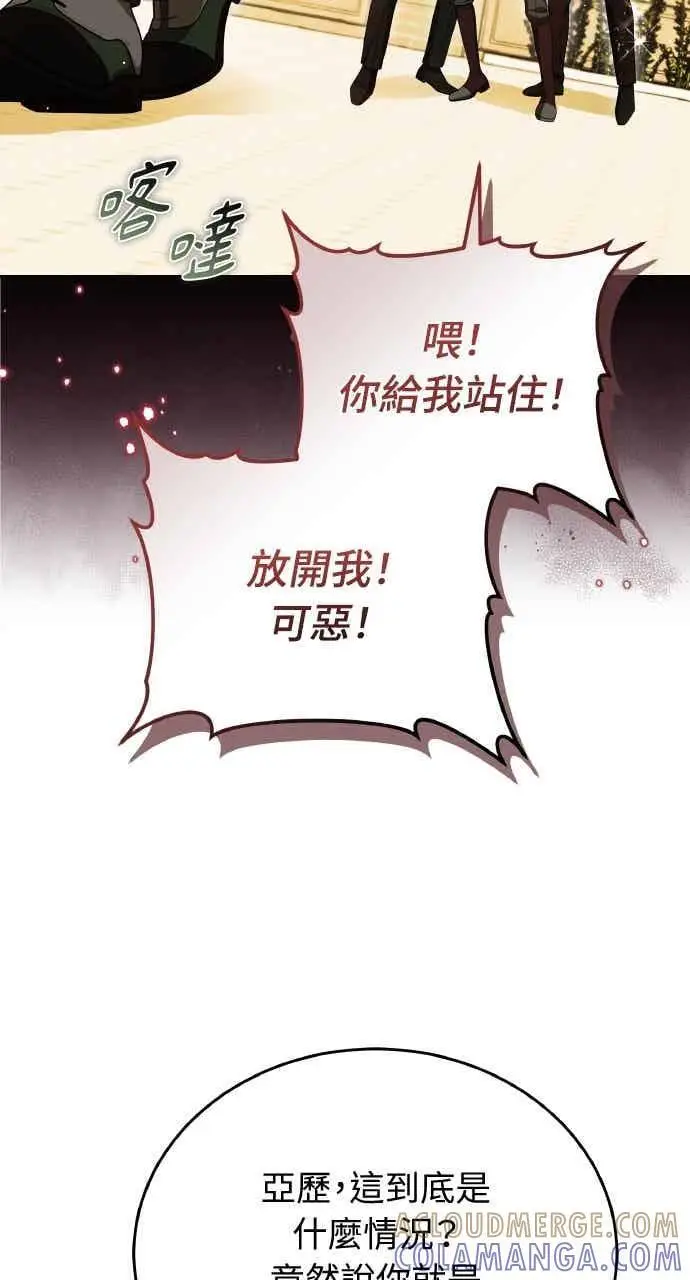 漫画《黑曜石的新娘》第101话第29张图
