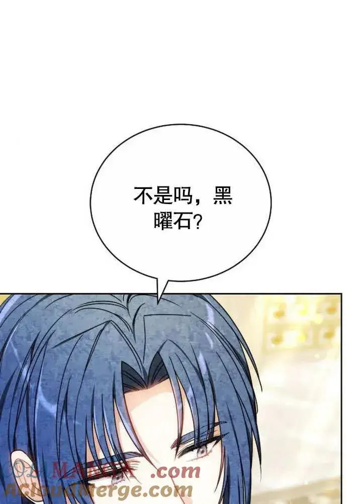 漫画《黑曜石的新娘》第46话第133张图