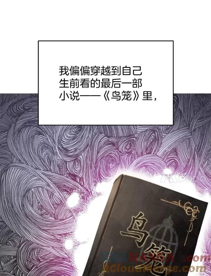 《怀了恶棍的孩子》1.签下婚书图57