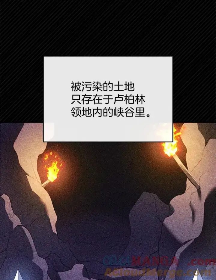 《怀了恶棍的孩子》23.被污染的土地图13