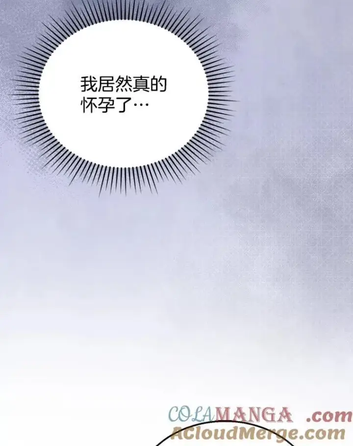 《怀了恶棍的孩子》26.不愿重蹈覆辙图9