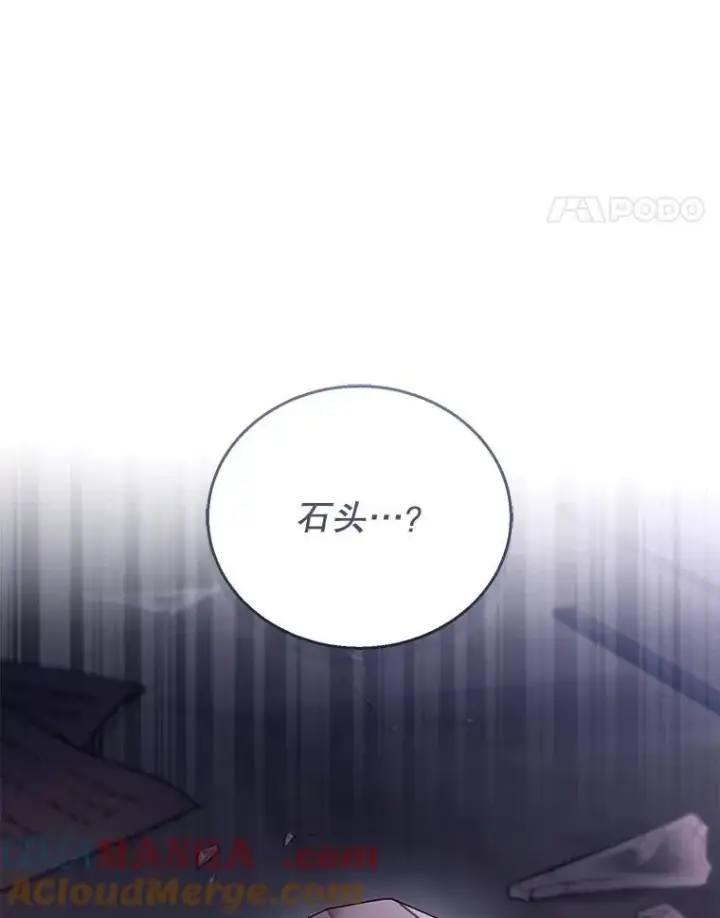 漫画《怀了恶棍的孩子》58.当众拆穿第129张图