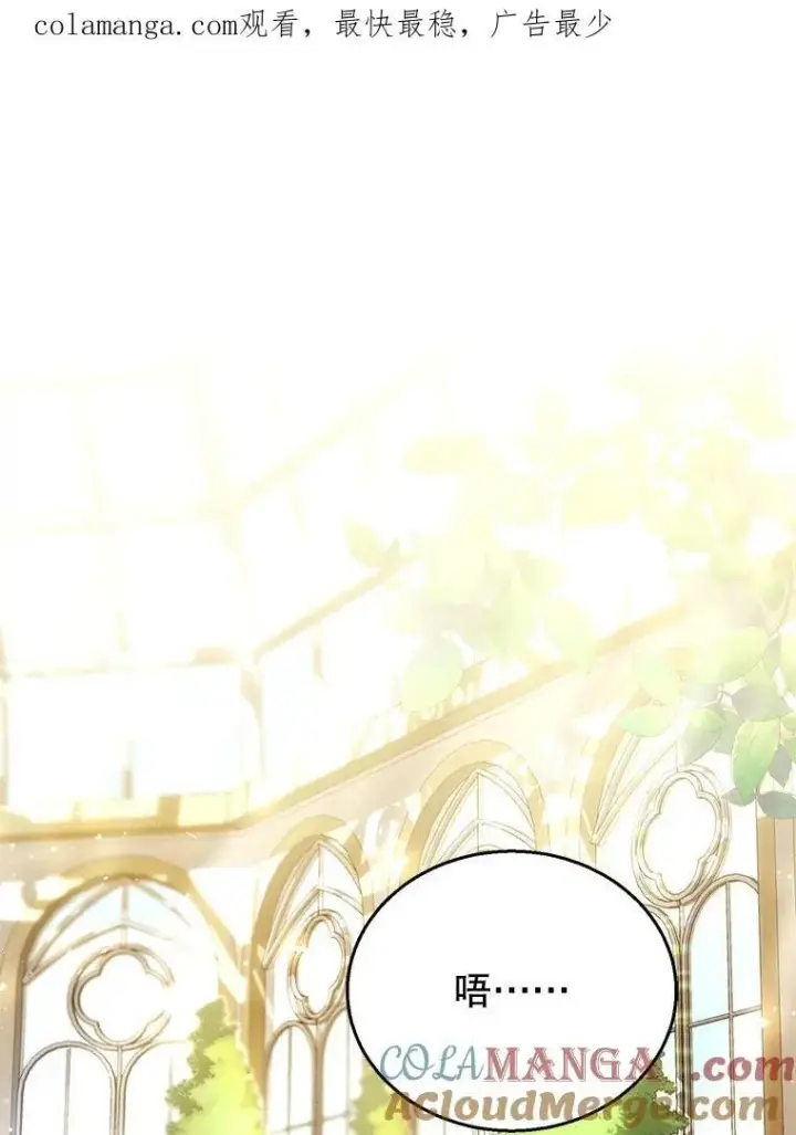 漫画《怀了恶棍的孩子》70.新继承人第133张图