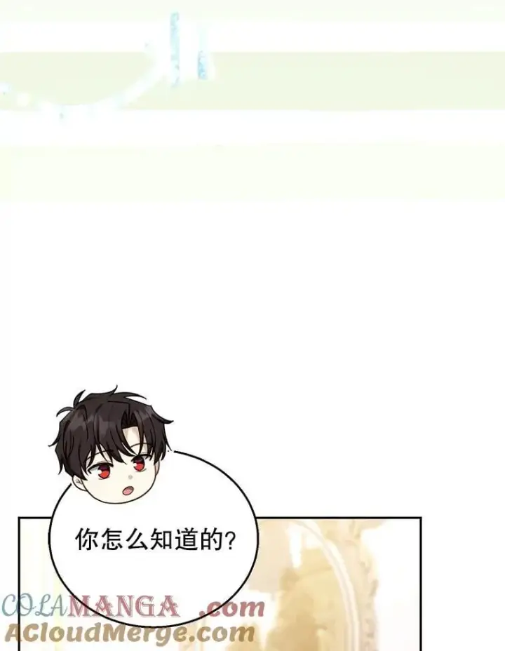 《怀了恶棍的孩子》72.被跟踪图29